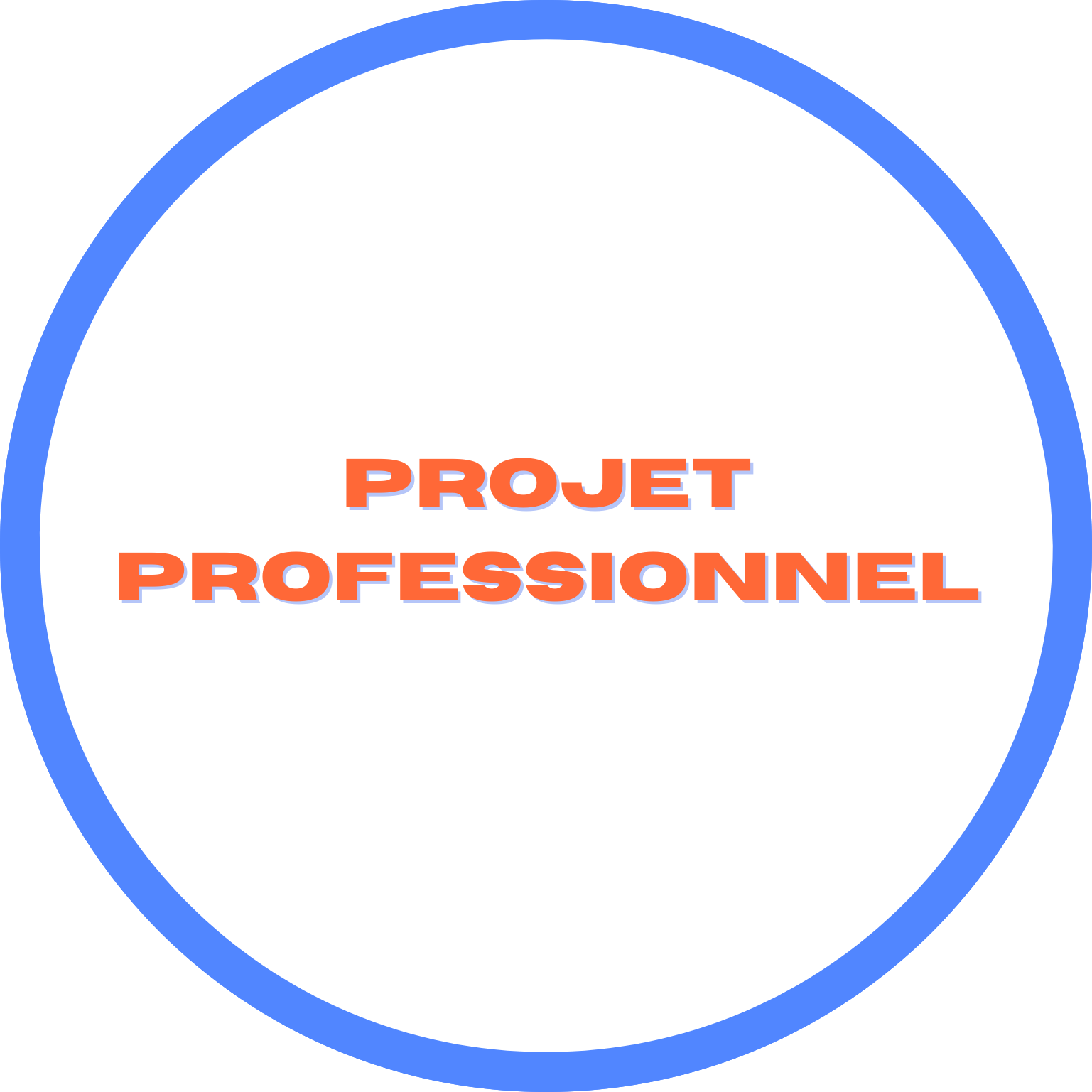 Projet professionnel