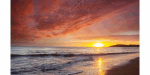 Retour à l’emploi : des parcours qui inspirent