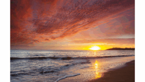 #11- Retour à l’emploi : des parcours qui inspirent