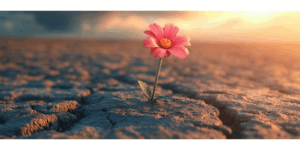 Résilience et emploi : rebondir après l’épreuve