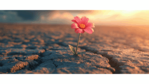 #15- Résilience et emploi : rebondir après l’épreuve