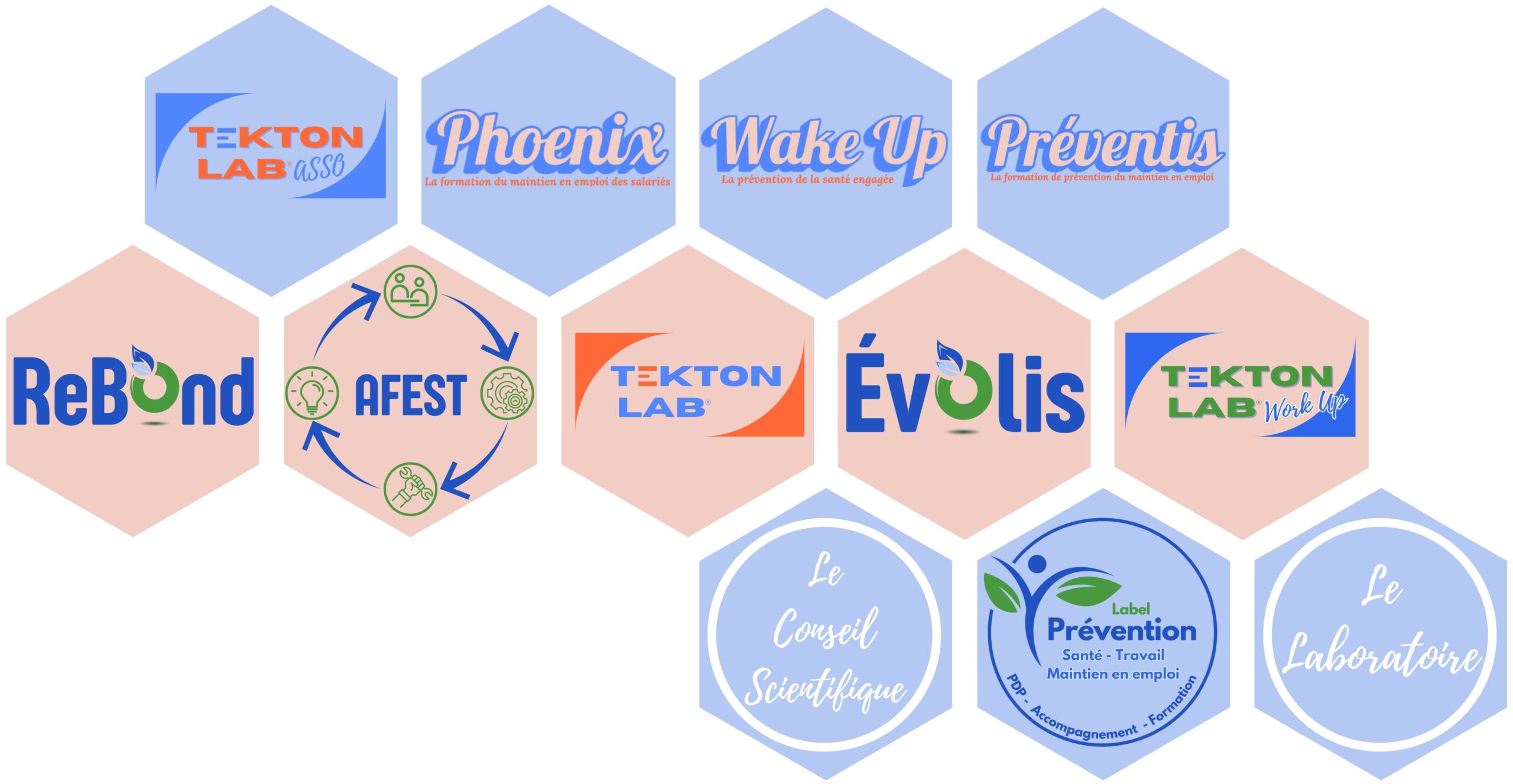 Schéma — Notre écosystème Tekton Lab