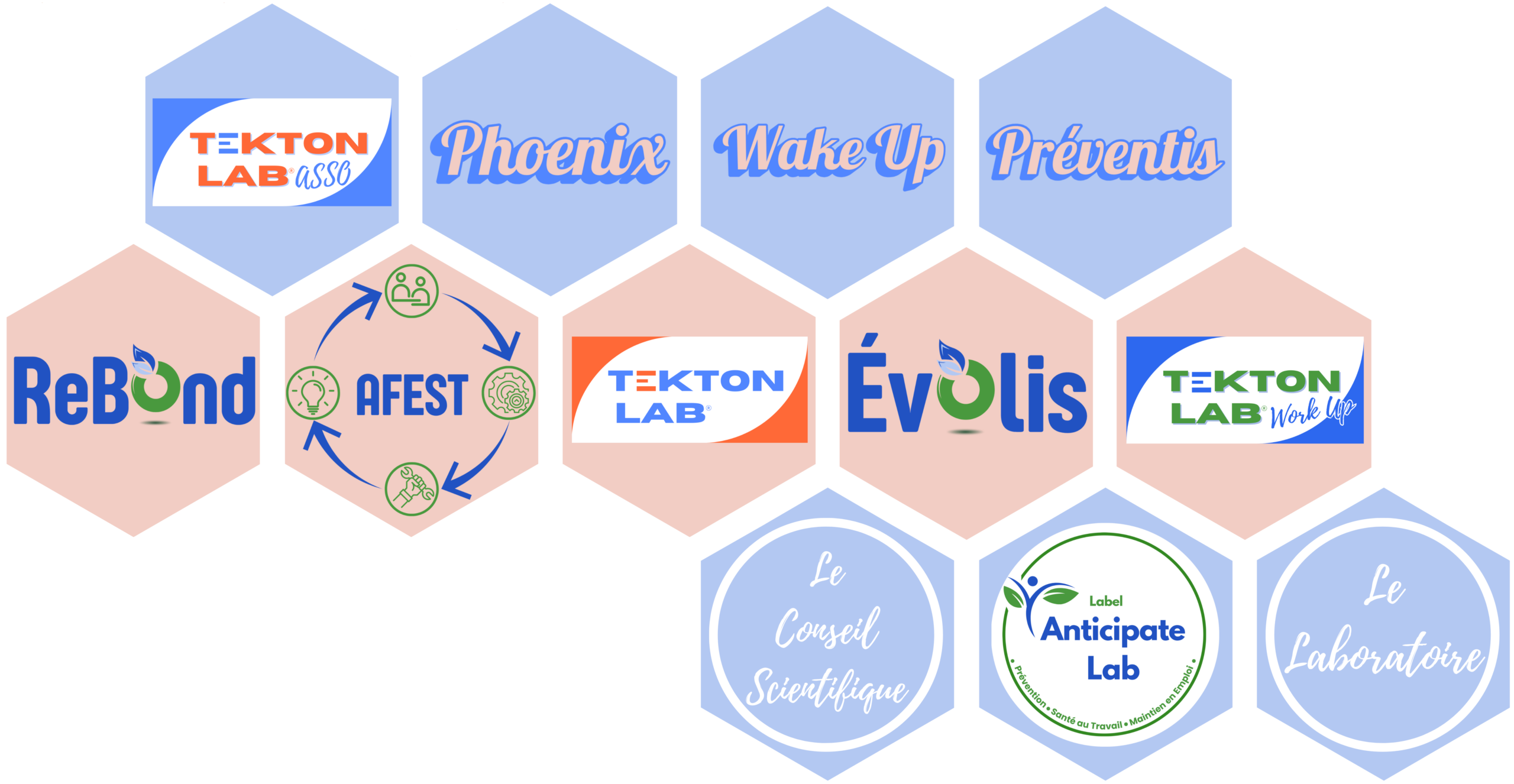 Schéma — Notre écosystème Tekton Lab