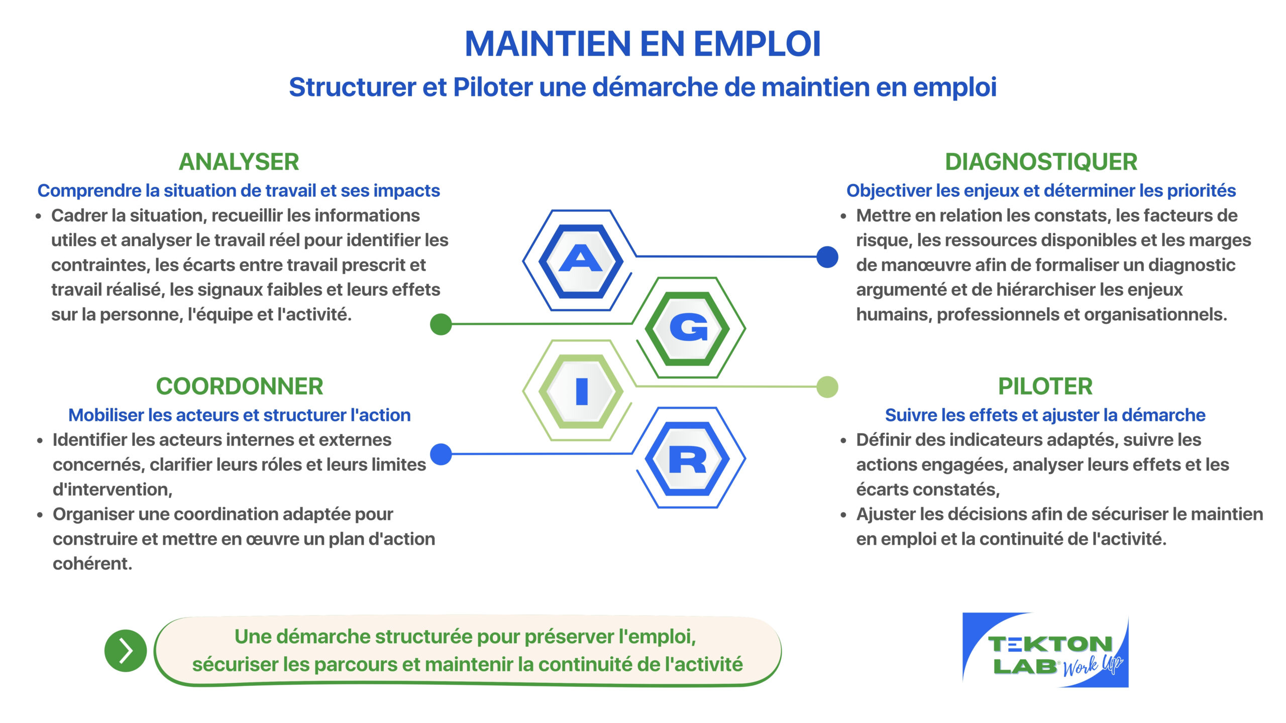 Schéma Structurer et piloter une démarche de maintien en emploi