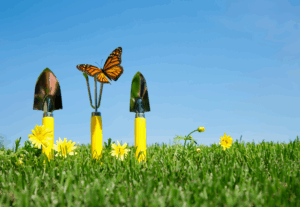 #27 – Quelques outils pour concevoir une formation digitale ?