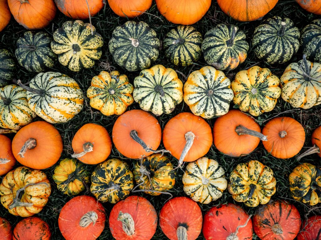 Organiser son activité avec la méthode des contraintes productives