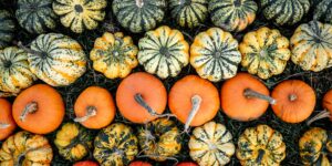 Organiser son activité avec la méthode des contraintes productives