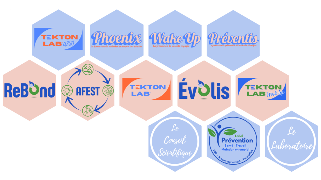 Notre écosystème - s’articule autour de trois volets complémentaires - Tekton Lab, Tekton Lab Asso, Tekton Lab Work up